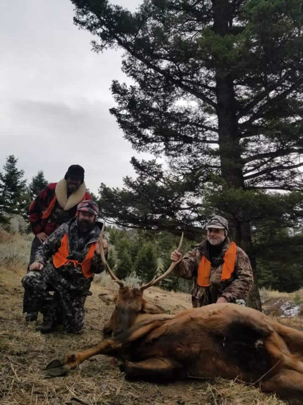 Elk Hunting Montana Lone Wolf Guide Service