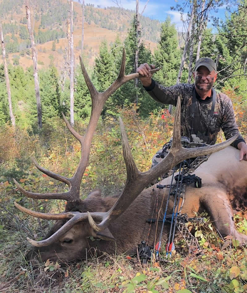 Archery Elk Hunting Lone Wolf Guide Service