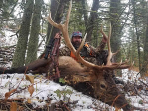 Elk Hunting Montana