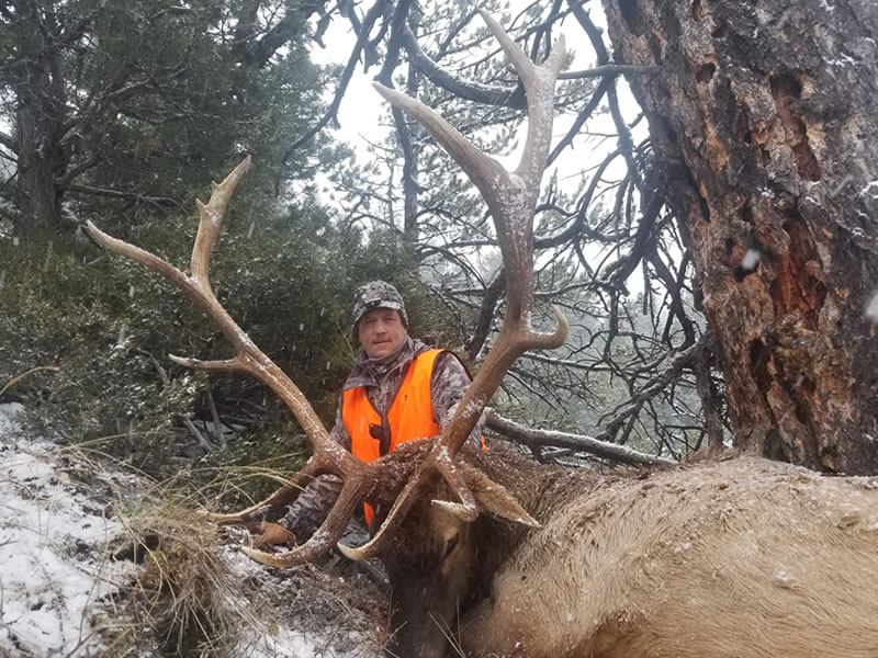 Elk-Hunting-Montana