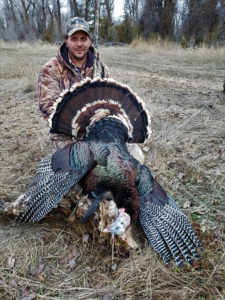 Turkey Hunting Montana