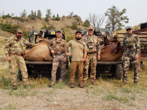 Elk Archery Hunting Montana