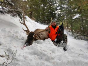 Elk Hunting Montana - Rifle