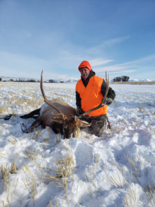 Elk Hunting Montana - Rifle