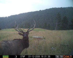 Montana-Hunting-Trail-Cam