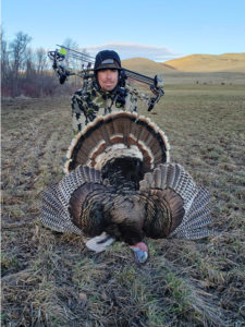 Turkey Hunts Montana
