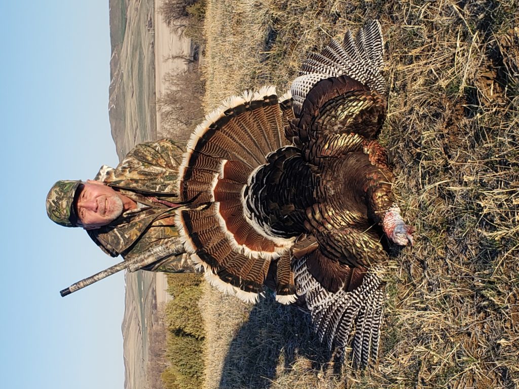 Montana Turkey Hunting Lone Wolf Guide Service